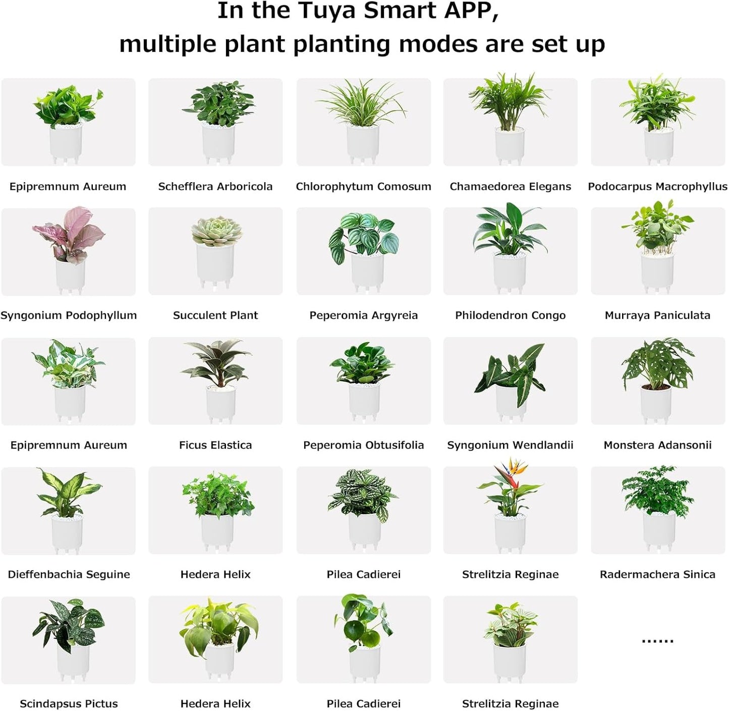 Smart Plant Pot with App Control and LCD Display
