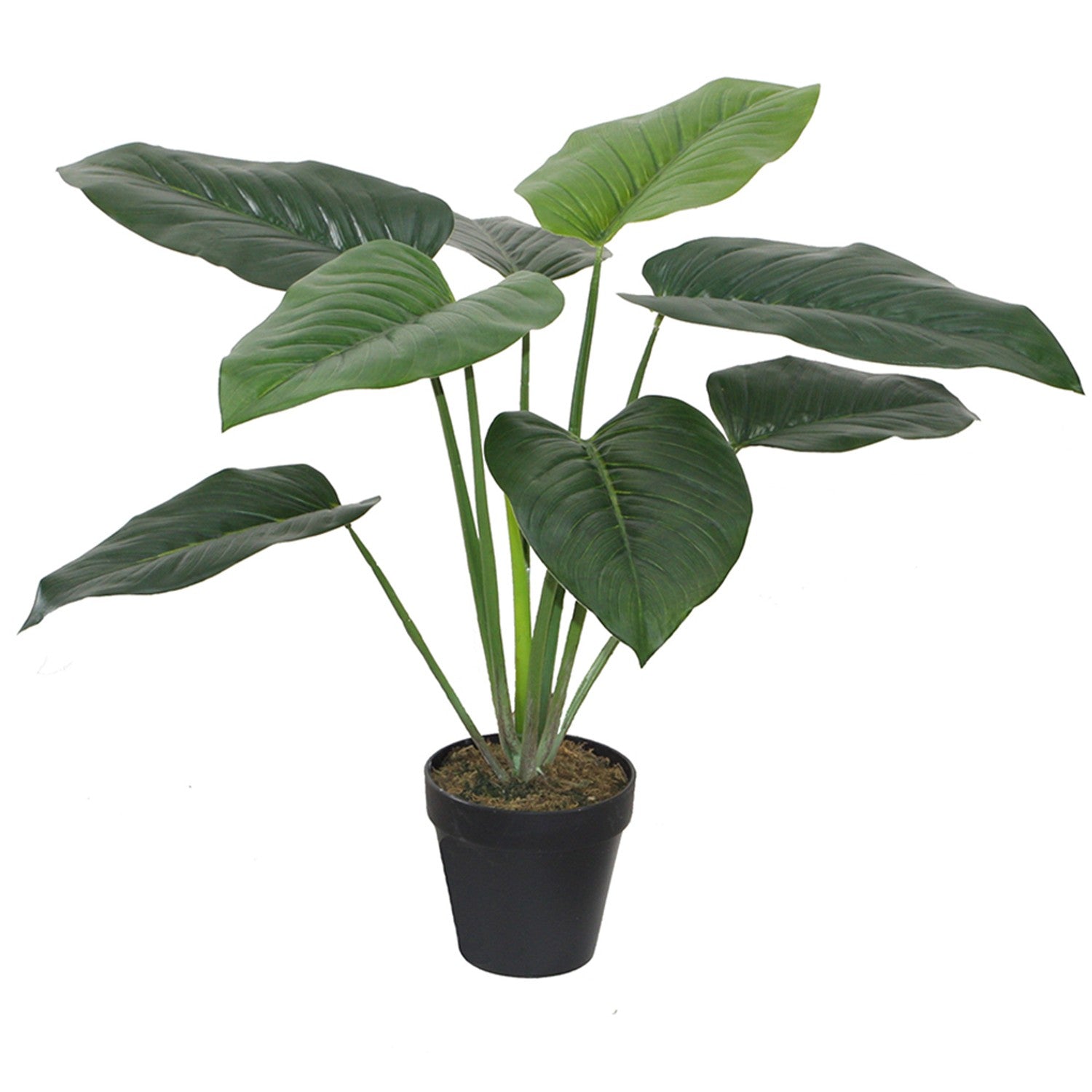 Artificial Philodendron in Plastic Pot