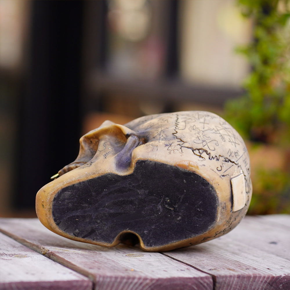 Mystic Runic Skull Statue with Gold Fang – Hand-Painted Resin Gothic Decor Figurine
