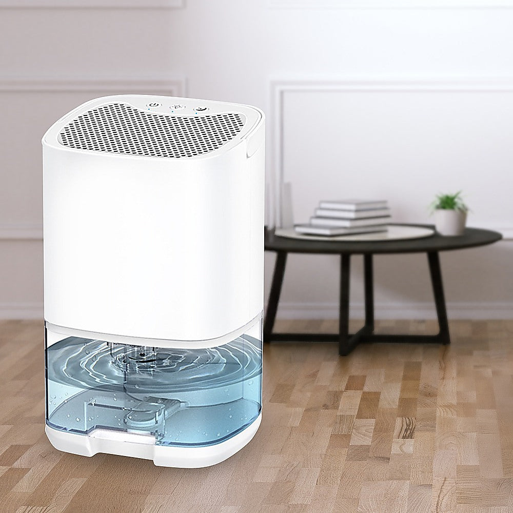 Mini Dehumidifier