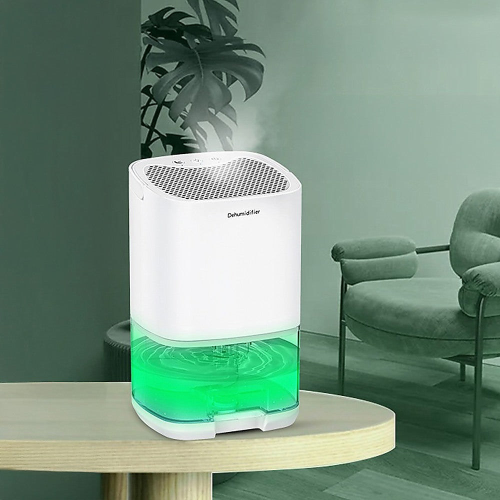 Mini Dehumidifier