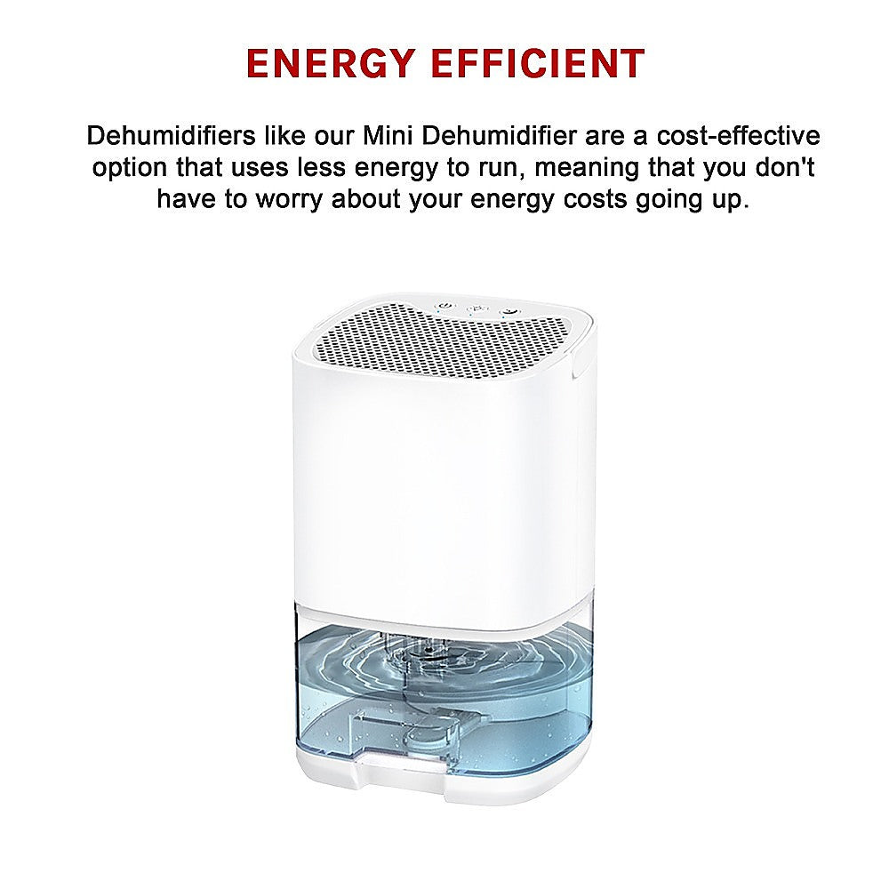 Mini Dehumidifier